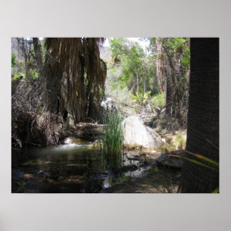 Pôster índio Canyon (2)