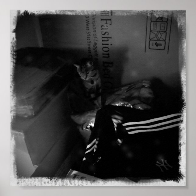 Pôster índio Movendo Auxiliar (Frente)