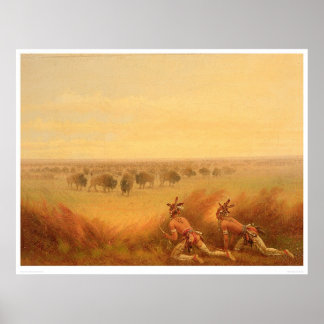 Poster Índios se instalando em um Herd of Buffalo (1907A)