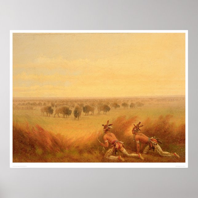 Poster Índios se instalando em um Herd of Buffalo (1907A) (Frente)