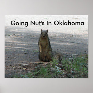 Pôster Indo a Nut em Oklahoma
