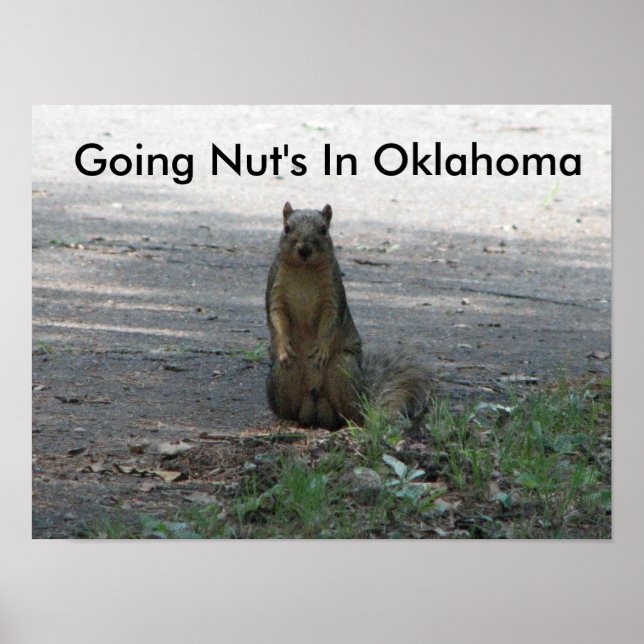 Pôster Indo a Nut em Oklahoma (Frente)