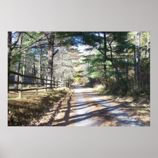 Poster Indo para a Canvas inicial