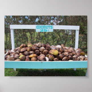 Poster Indo para Cocos