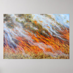Poster Inferno 2014 do Bushfire