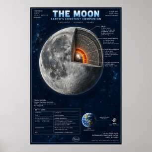 Poster Infográfico Científico da Seção Transversal da Lua
