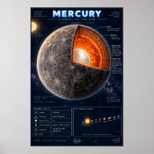 Poster Infográfico Científico da Seção Transversal de Mer