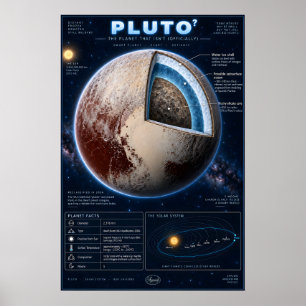 Poster Infográfico Científico da Seção Transversal de Plu