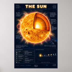 Poster Infográfico Científico da Seção Transversal do Sol
