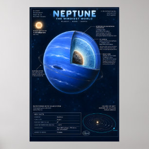 Poster Infográfico Científico de Corte Transversal de Net