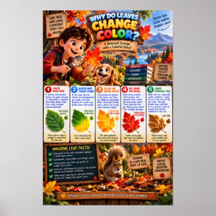 Poster Infográfico Por Que as Folhas Mudam de Cor