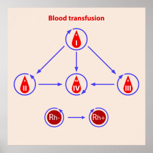 Poster infographic blood transfusion