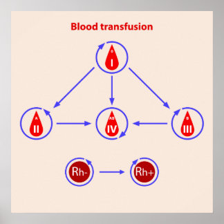 Poster infographic blood transfusion