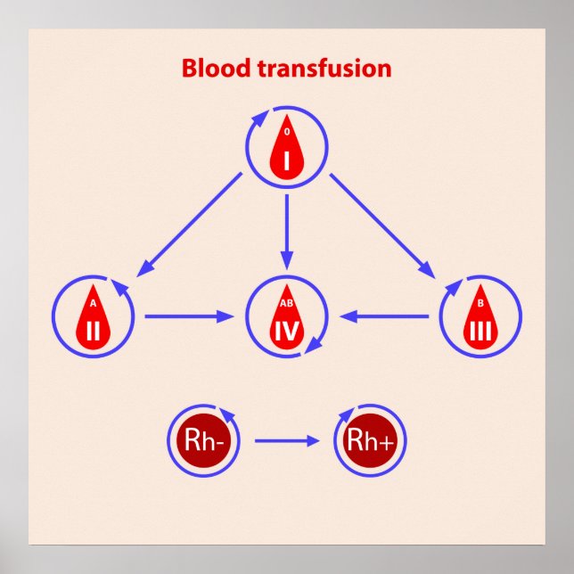 Poster infographic blood transfusion (Frente)