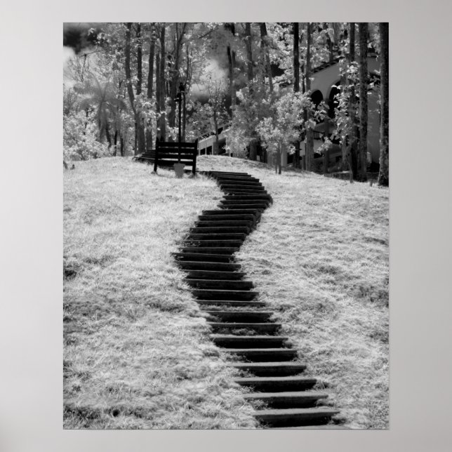 Pôster Infra vermelho de árvores edifícios e trilhas em L (Frente)