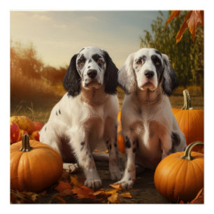 Pôster Inglês Setter Puppy Autumn Delight Pumpkin