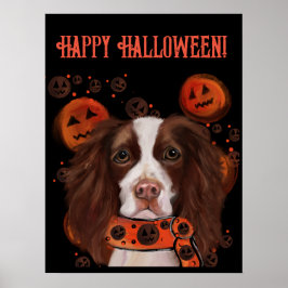 Poster Inglês Springer Spaniel