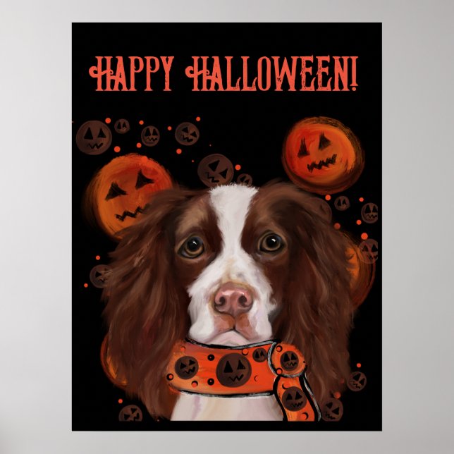 Poster Inglês Springer Spaniel (Frente)