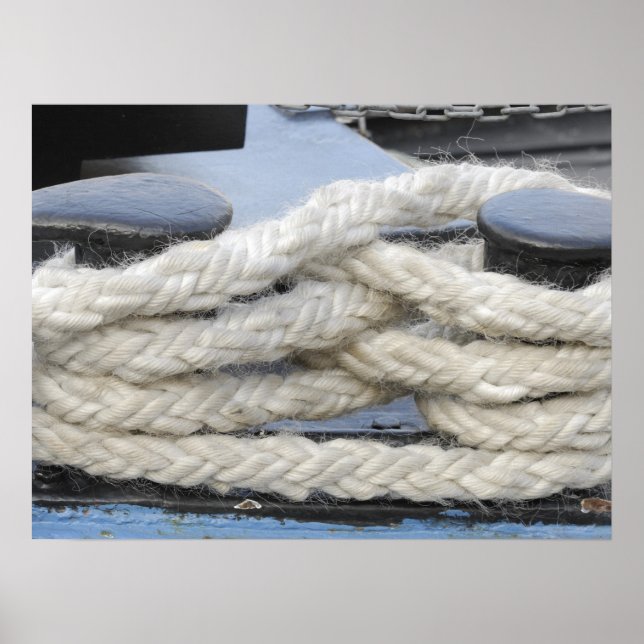 Pôster Inibidores de barcos (Frente)