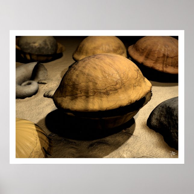 Poster Início (Frente)