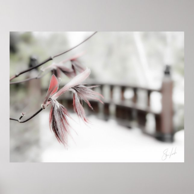 Pôster Início (Frente)