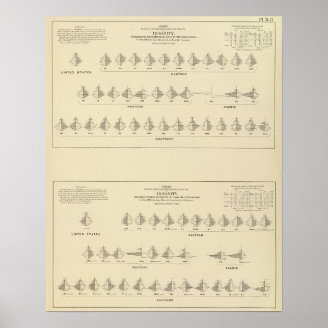 Pôster Insanidade, litógrafo estatístico dos EUA (Frente)