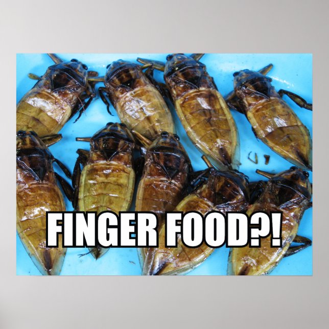 Poster Inseto De Água Gigante Fried (Maeng Daa) ... Comid (Frente)