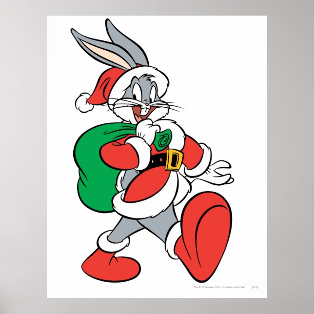 POSTER INSETOS BUNNY™ (Frente)