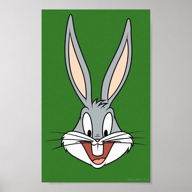Poster INSETOS BUNNY™ Rosto sorridente (Frente)