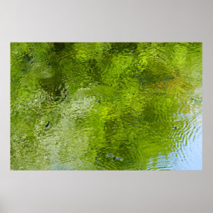 Poster Insetos de água no Parque Estadual de Laurel Hill