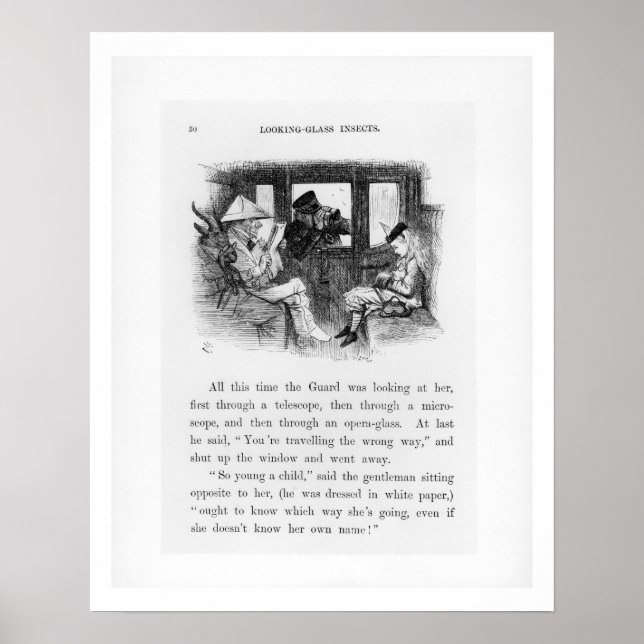 Pôster Insetos de Vidro, ilustração de 'Alice Th (Frente)