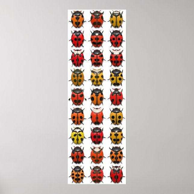 Poster Insetos, Insetos, Insetos - Padrão de Insetos (Frente)