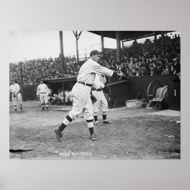 Poster Insetos Raymond Pittsburgh Pirates Baseball (Frente)