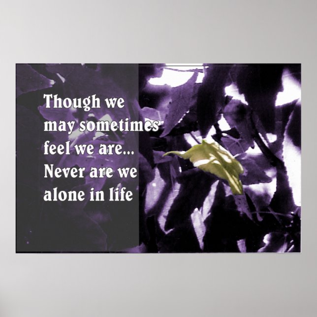 Pôster Inspiração através da natureza (Frente)