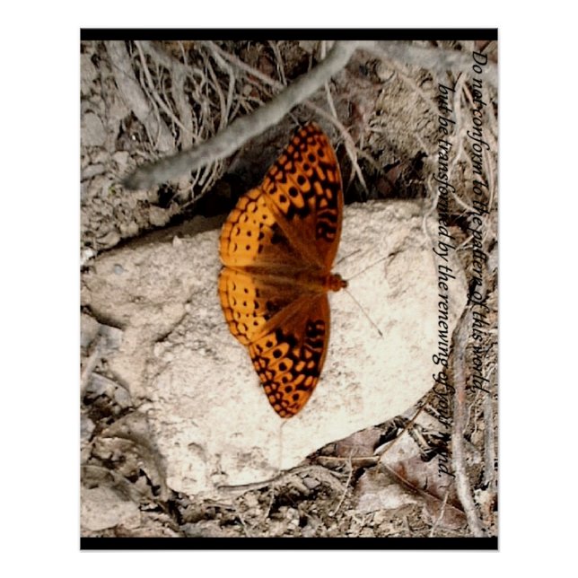 Pôster Inspiração de borboleta (Frente)