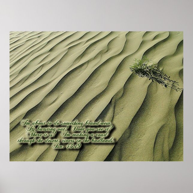 Poster Inspiracional de Escritura do Deserto (Frente)