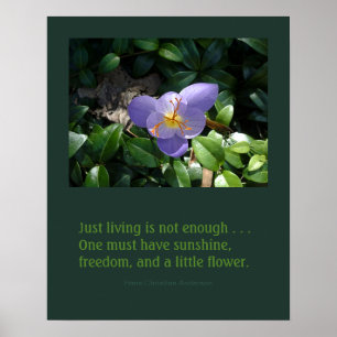 Poster inspirado do jardim do açafrão