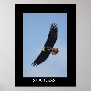 Poster inspirador da águia americana do SUCESSO