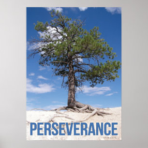 Poster inspirador da árvore da perseverança