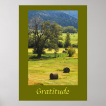 Poster Inspirador de Gratidão