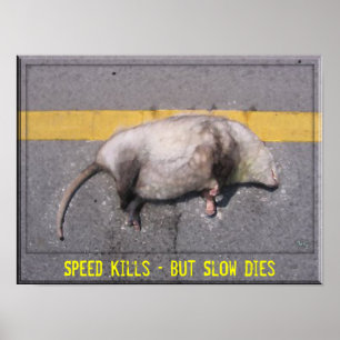 Poster inspirador de Roadkill
