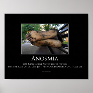Poster inspirador do Anosmia
