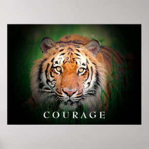 Poster inspirador do tigre da coragem