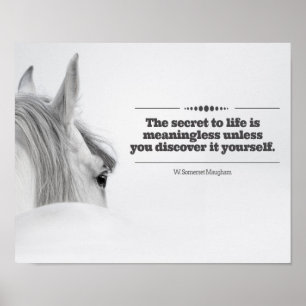 Poster inspirador "o segredo à vida… "