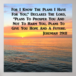 POSTER INSPIRANDO JEREMIAH 29:11 SOL