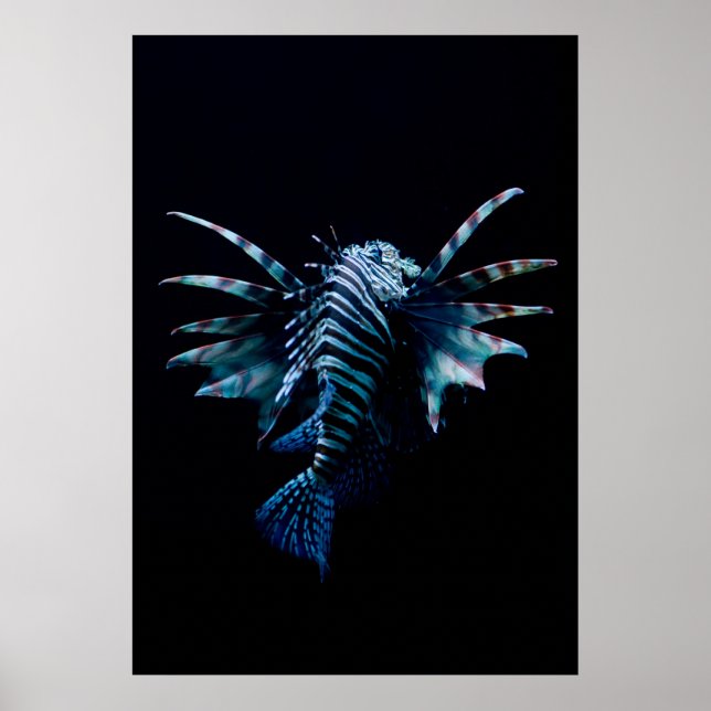 Poster Inspiration (Frente)