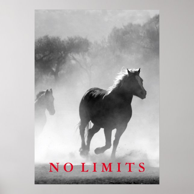 Poster Inspiration No Limine Black White Horses Trabalho  (Frente)