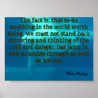 Pôster Inspiration Robert Cushing/ Urso Polar