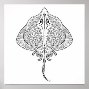 Pôster Inspired Stingray Totem 2