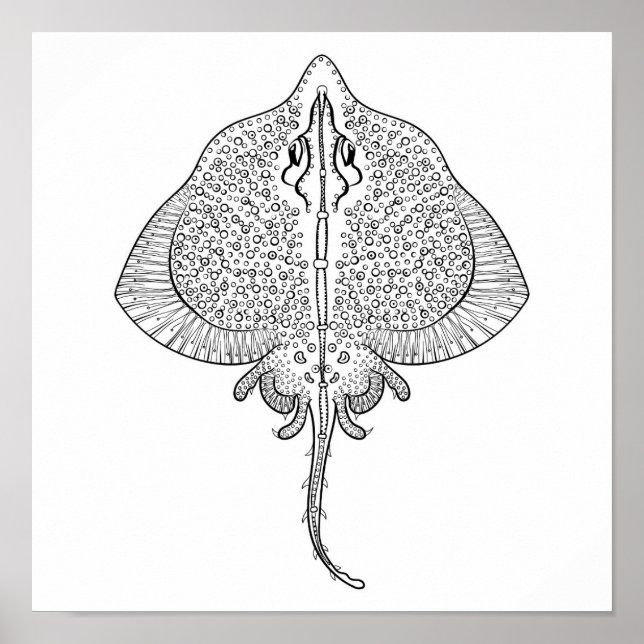 Pôster Inspired Stingray Totem 2 (Frente)